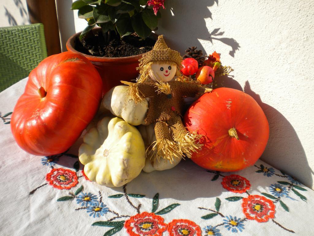 Gite Le Mandlé Riquewihr Habitación foto
