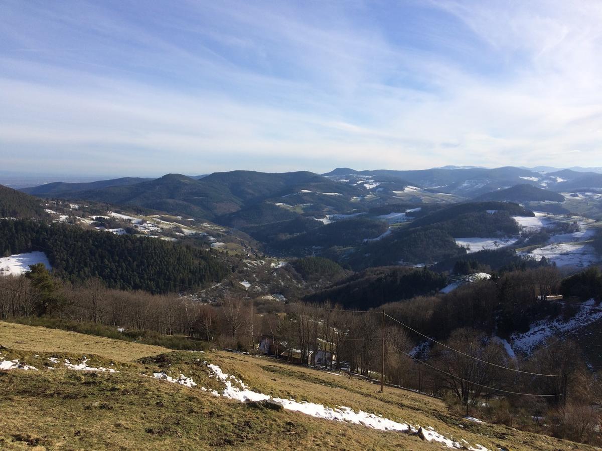 Gite Le Mandlé Riquewihr Exterior foto