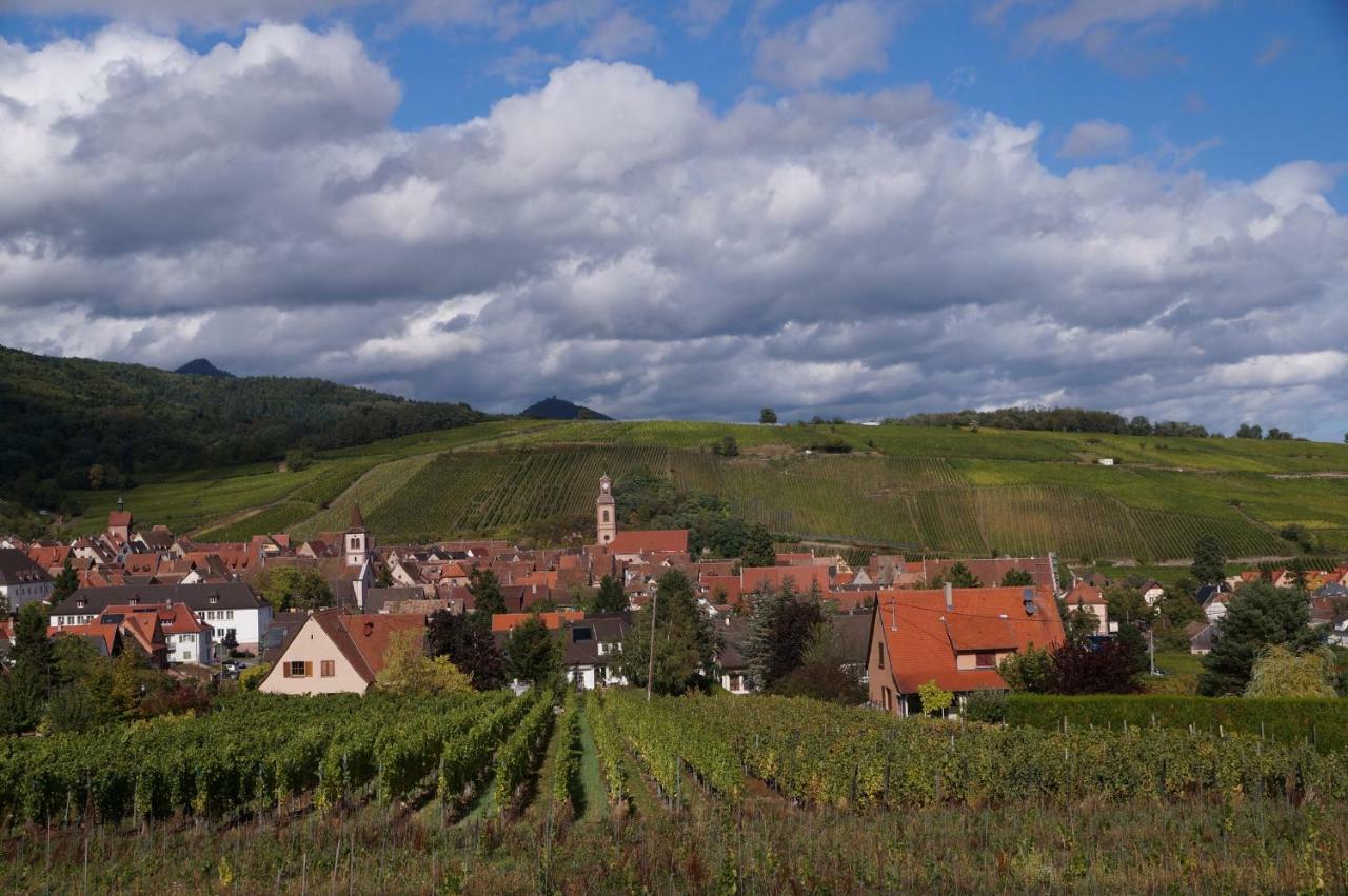 Gite Le Mandlé Riquewihr Exterior foto